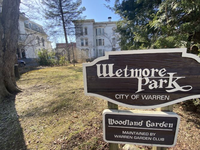 Panel hears concerns about landscaping at Wetmore Park, among others